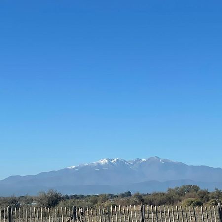 Magnifique Vue Mer F2 45 M2, Parking Surveille Linge De Maison Inclus Canet-en-Roussillon Exterior foto
